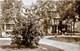 1316 E Madison Park, Chicago, IL 60615