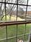 307 Mill, Batavia, IL 60510