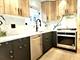 427 E 87th, Chicago, IL 60619