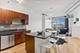 1305 S Michigan Unit 1103, Chicago, IL 60605
