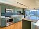 4250 N Marine Unit 1916, Chicago, IL 60613
