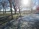 6356 W Giddings, Chicago, IL 60630