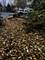 37206 N Capillo, Lake Villa, IL 60046