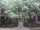 1225 W Lunt Unit 1B, Chicago, IL 60626