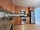 1250 N Lasalle Unit 513, Chicago, IL 60610