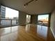 1250 N Lasalle Unit 513, Chicago, IL 60610
