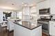 1201 S Knight, Park Ridge, IL 60068