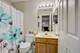 1794 Briggs, Lisle, IL 60532