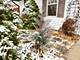 10208 Hiawatha, Orland Park, IL 60462