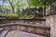 2743 N Wilton, Chicago, IL 60614