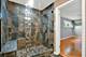 8950 E Prairie, Evanston, IL 60203