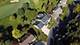 30 Golf View, Frankfort, IL 60423