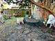 1322 W Elmdale Unit 2, Chicago, IL 60660