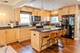 316 N Elm, Mount Prospect, IL 60056