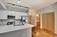 1430 S Michigan Unit 303, Chicago, IL 60605