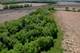 0 Rte 173, Poplar Grove, IL 61065