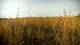 0 Rte 173, Poplar Grove, IL 61065