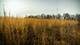 0 Rte 173, Poplar Grove, IL 61065
