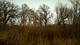 0 Rte 173, Poplar Grove, IL 61065