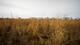 0 Rte 173, Poplar Grove, IL 61065