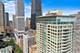 250 E Pearson Unit 2801, Chicago, IL 60611