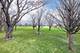 2544 Whitehall, Naperville, IL 60564