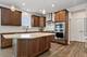 858 Marlisle, Elgin, IL 60124