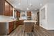 858 Marlisle, Elgin, IL 60124