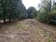 12362 W 159th, Homer Glen, IL 60491
