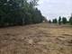 12362 W 159th, Homer Glen, IL 60491