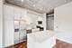 1000 N Kingsbury Unit 208, Chicago, IL 60610