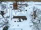 1210 Buell, Joliet, IL 60435