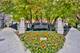 816 W 15th, Chicago, IL 60608