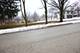 401 W Oneida, Bartlett, IL 60103