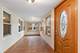 258 Sexauer, Elgin, IL 60123