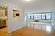 850 N Dewitt Unit 14G, Chicago, IL 60611