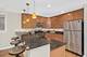 920 W Agatite Unit G, Chicago, IL 60640