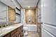 21221 Coneflower, Mokena, IL 60448