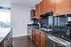 225 N Columbus Unit 5901, Chicago, IL 60601