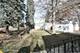 102 E 56th, Westmont, IL 60559