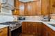 1353 N Noble Unit 4, Chicago, IL 60642