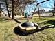 11639 Valley Brook, Orland Park, IL 60462