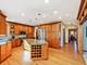 13095 Spruce Hill, Lemont, IL 60439