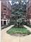 908 Oakton Unit 1, Evanston, IL 60202