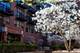 333 W Hubbard Unit 522, Chicago, IL 60654