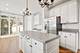 1776 Chadwicke, Naperville, IL 60540