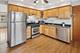 4933 N Lester Unit 3E, Chicago, IL 60630