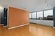 2800 N Lake Shore Unit 3411, Chicago, IL 60657