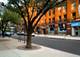 225 W Huron Unit 213, Chicago, IL 60654