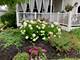 3220 Harness, Grayslake, IL 60030